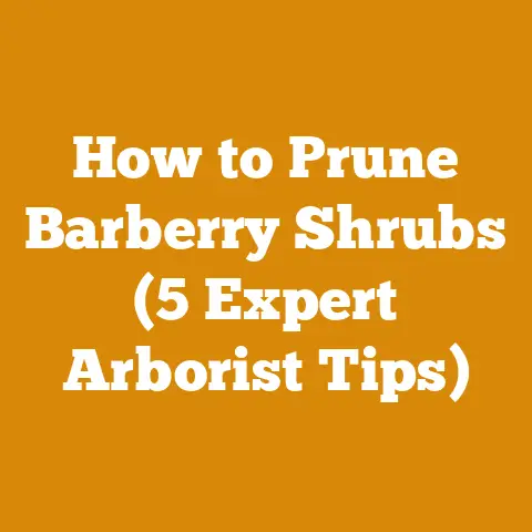 How to Prune Barberry Shrubs (5 Expert Arborist Tips)