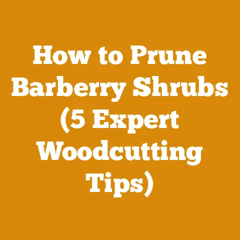 How to Prune Barberry Shrubs (5 Expert Woodcutting Tips)