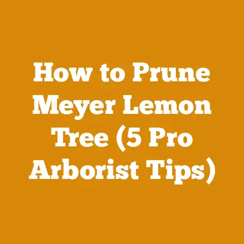 How to Prune Meyer Lemon Tree (5 Pro Arborist Tips)