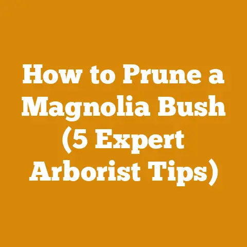 How to Prune a Magnolia Bush (5 Expert Arborist Tips)