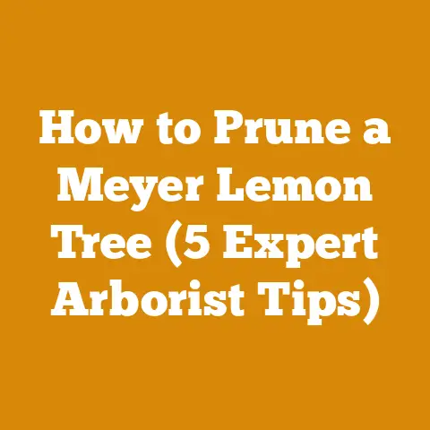 How to Prune a Meyer Lemon Tree (5 Expert Arborist Tips)