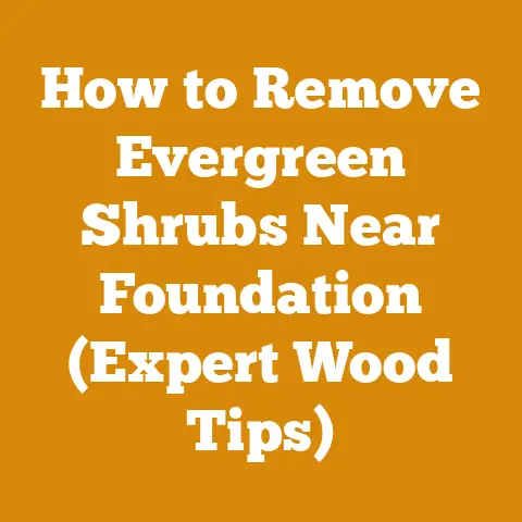 How to Remove Evergreen Shrubs Near Foundation (Expert Wood Tips)