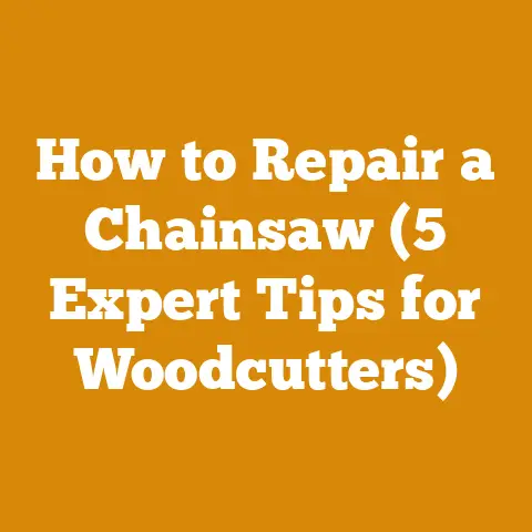How to Repair a Chainsaw (5 Expert Tips for Woodcutters)