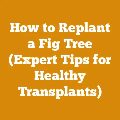 How to Replant a Fig Tree (Expert Tips for Healthy Transplants)
