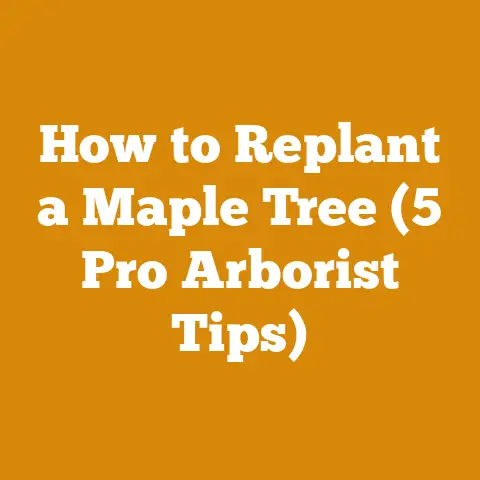 How to Replant a Maple Tree (5 Pro Arborist Tips)