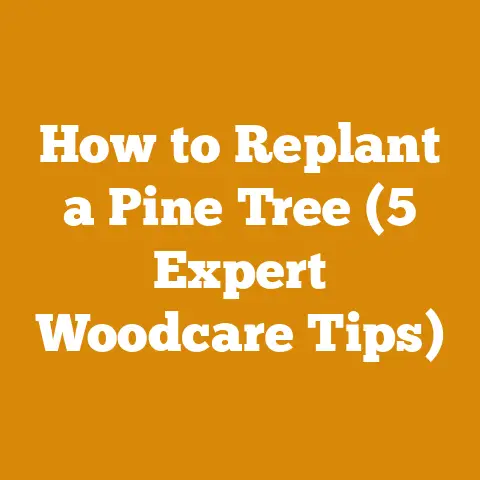 How to Replant a Pine Tree (5 Expert Woodcare Tips)