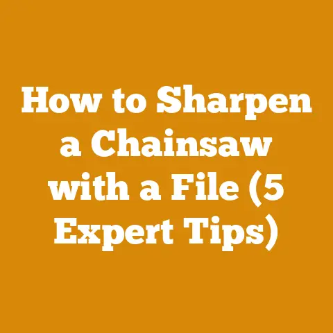 How to Sharpen a Chainsaw with a File (5 Expert Tips)