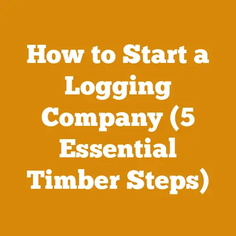 How to Start a Logging Company (5 Essential Timber Steps)