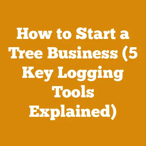 How to Start a Tree Business (5 Key Logging Tools Explained)