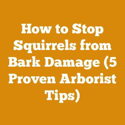 How to Stop Squirrels from Bark Damage (5 Proven Arborist Tips)