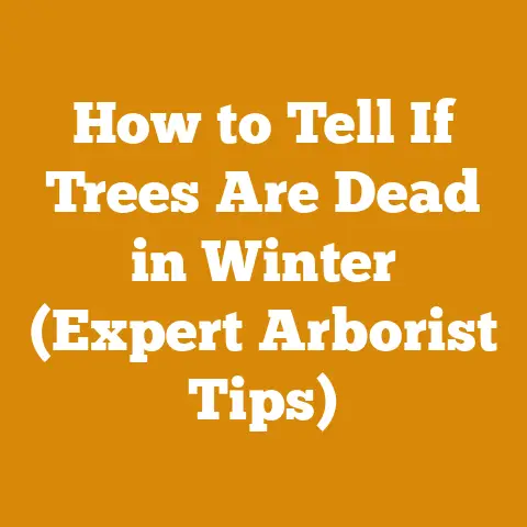 How to Tell If Trees Are Dead in Winter (Expert Arborist Tips)