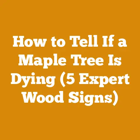 How to Tell If a Maple Tree Is Dying (5 Expert Wood Signs)