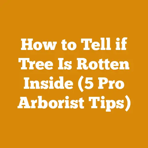How to Tell if Tree Is Rotten Inside (5 Pro Arborist Tips)