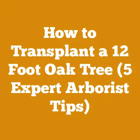 How to Transplant a 12 Foot Oak Tree (5 Expert Arborist Tips)