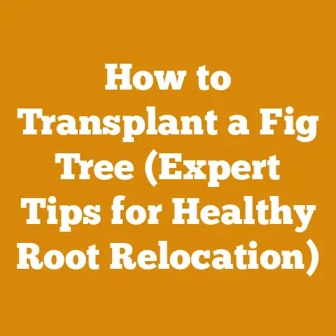 How to Transplant a Fig Tree (Expert Tips for Healthy Root Relocation)