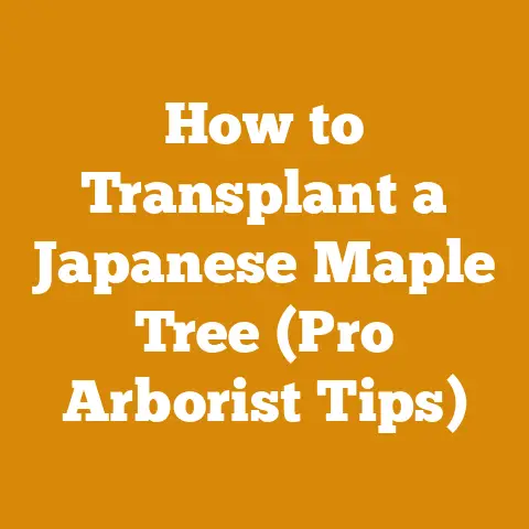 How to Transplant a Japanese Maple Tree (Pro Arborist Tips)