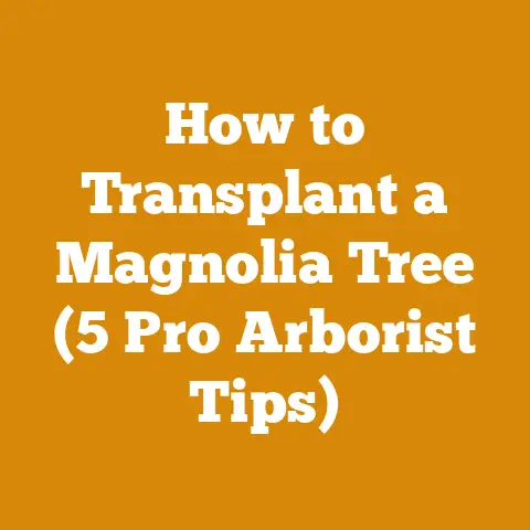 How to Transplant a Magnolia Tree (5 Pro Arborist Tips)