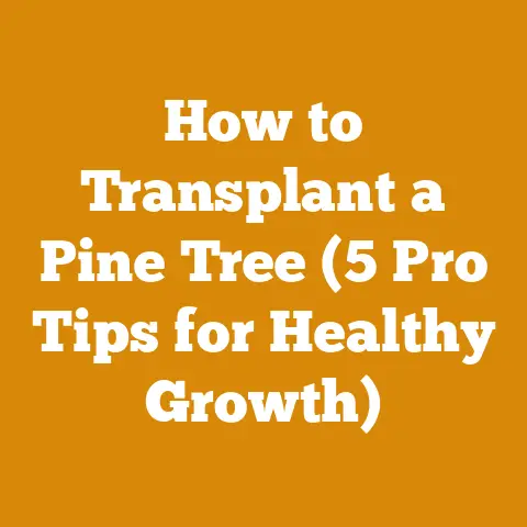 How to Transplant a Pine Tree (5 Pro Tips for Healthy Growth)
