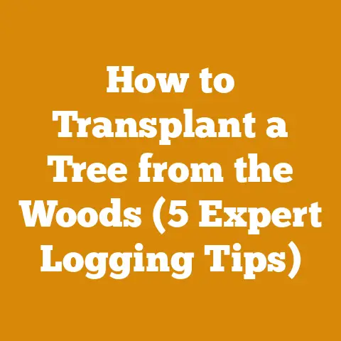 How to Transplant a Tree from the Woods (5 Expert Logging Tips)
