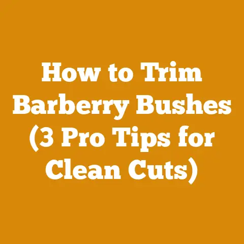 How to Trim Barberry Bushes (3 Pro Tips for Clean Cuts)