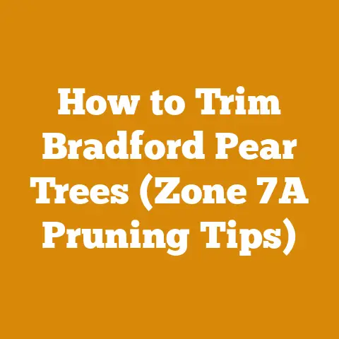 How to Trim Bradford Pear Trees (Zone 7A Pruning Tips)