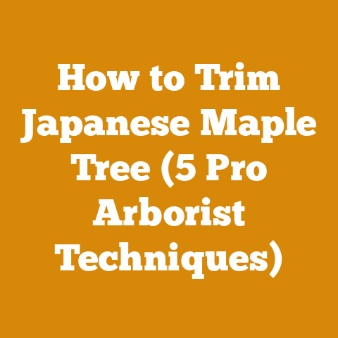 How to Trim Japanese Maple Tree (5 Pro Arborist Techniques)