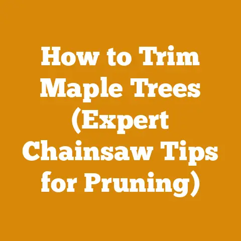 How to Trim Maple Trees (Expert Chainsaw Tips for Pruning)