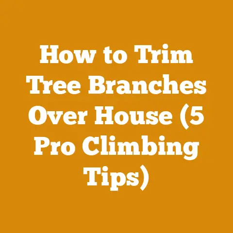 How to Trim Tree Branches Over House (5 Pro Climbing Tips)