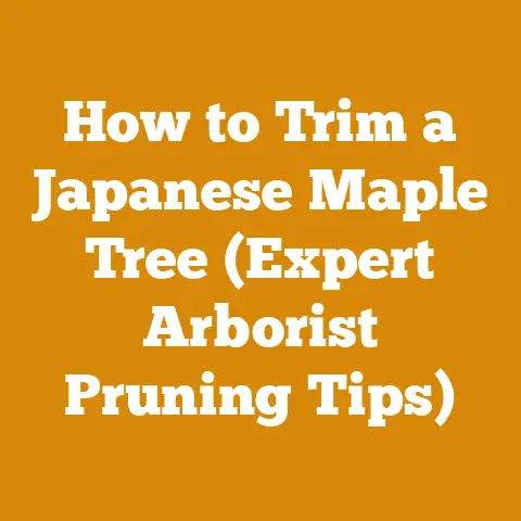 How to Trim a Japanese Maple Tree (Expert Arborist Pruning Tips)