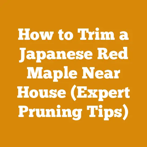 How to Trim a Japanese Red Maple Near House (Expert Pruning Tips)