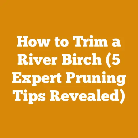 How to Trim a River Birch (5 Expert Pruning Tips Revealed)