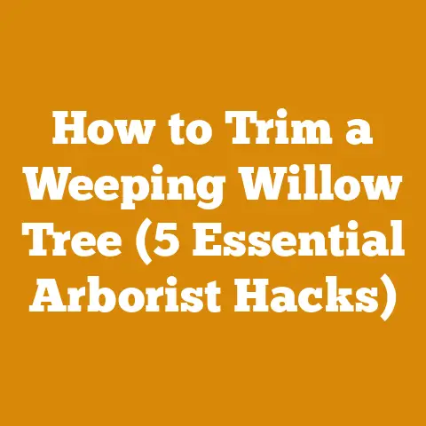 How to Trim a Weeping Willow Tree (5 Essential Arborist Hacks)