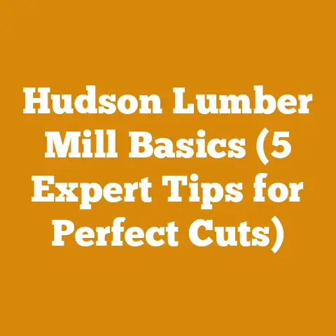 Hudson Lumber Mill Basics (5 Expert Tips for Perfect Cuts)