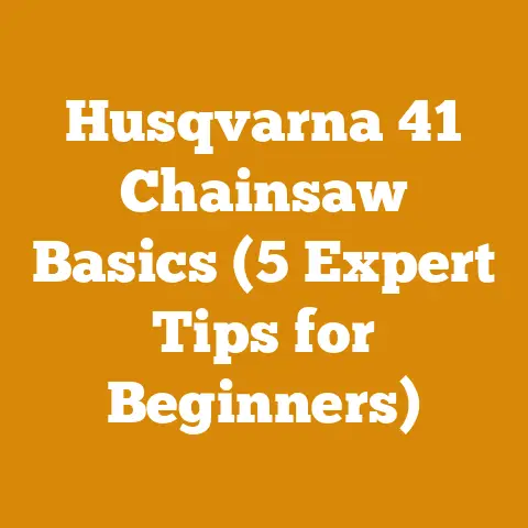 Husqvarna 41 Chainsaw Basics (5 Expert Tips for Beginners)