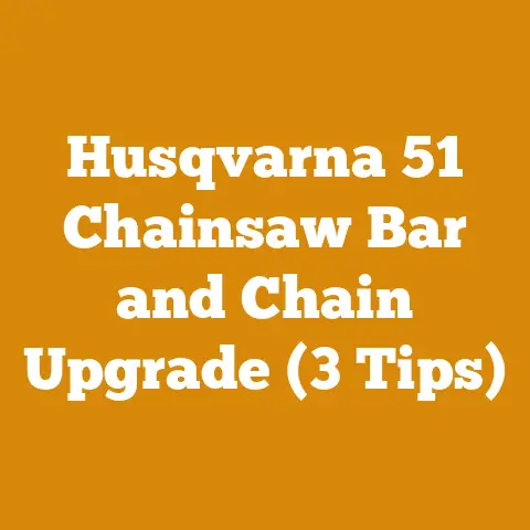 Husqvarna 51 Chainsaw Bar and Chain Upgrade (3 Tips)