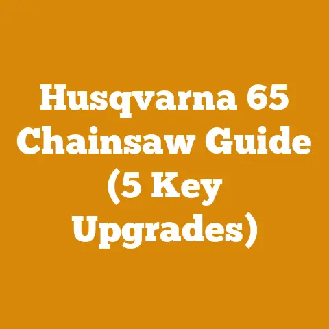 Husqvarna 65 Chainsaw Guide (5 Key Upgrades)