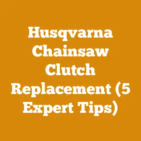 Husqvarna Chainsaw Clutch Replacement (5 Expert Tips)