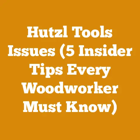 Hutzl Tools Issues (5 Insider Tips Every Woodworker Must Know)