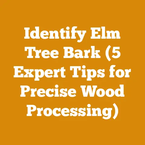 Identify Elm Tree Bark (5 Expert Tips for Precise Wood Processing)