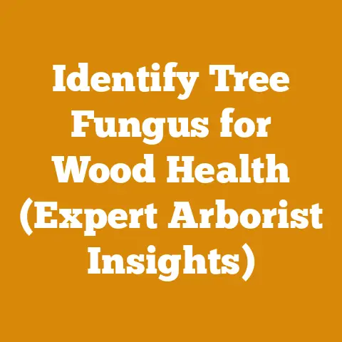 Identify Tree Fungus for Wood Health (Expert Arborist Insights)