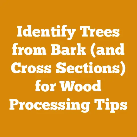 Identify Trees from Bark (and Cross Sections) for Wood Processing Tips