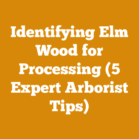 Identifying Elm Wood for Processing (5 Expert Arborist Tips)
