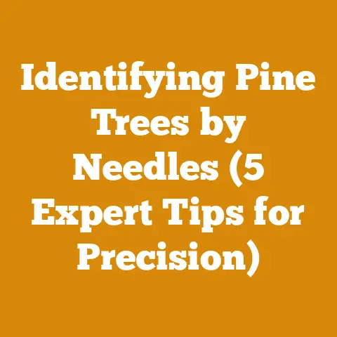 Identifying Pine Trees by Needles (5 Expert Tips for Precision)