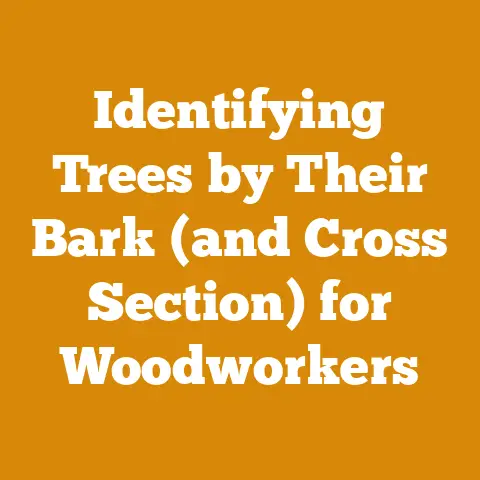 Identifying Trees by Their Bark (and Cross Section) for Woodworkers