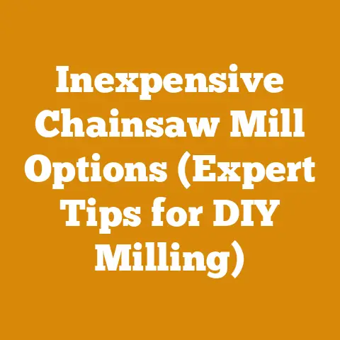 Inexpensive Chainsaw Mill Options (Expert Tips for DIY Milling)