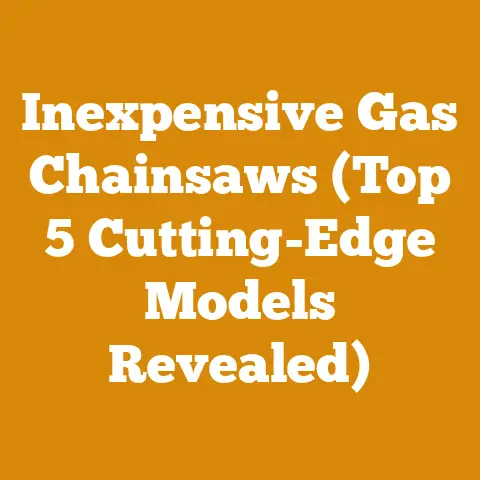Inexpensive Gas Chainsaws (Top 5 Cutting-Edge Models Revealed)