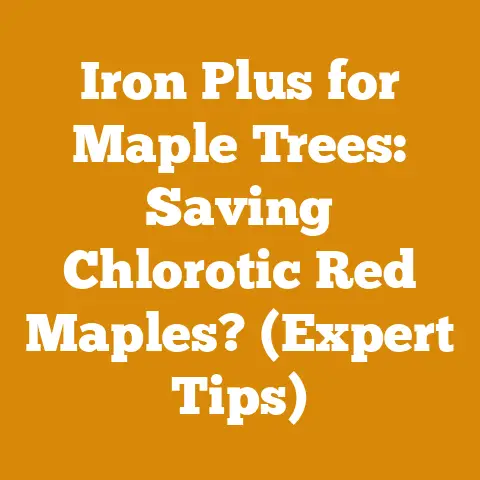 Iron Plus for Maple Trees: Saving Chlorotic Red Maples? (Expert Tips)