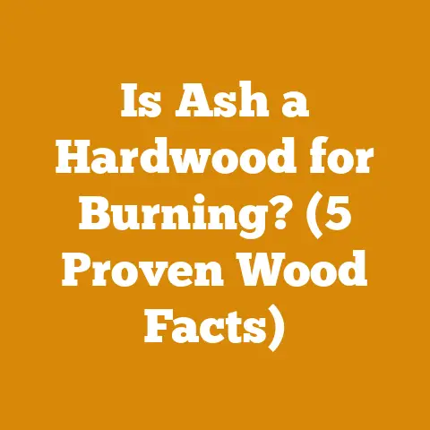 Is Ash a Hardwood for Burning? (5 Proven Wood Facts)