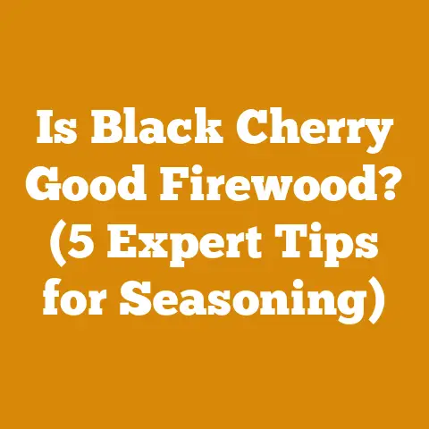 Is Black Cherry Good Firewood? (5 Expert Tips for Seasoning)