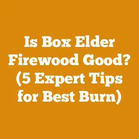 Is Box Elder Firewood Good? (5 Expert Tips for Best Burn)